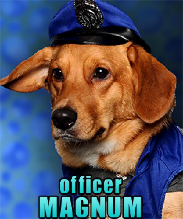 Officer Magnum